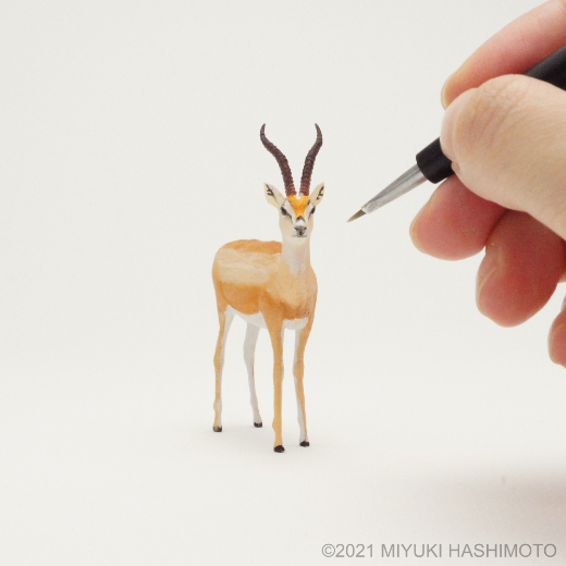 Image Male Grant's Gazelle Miniature