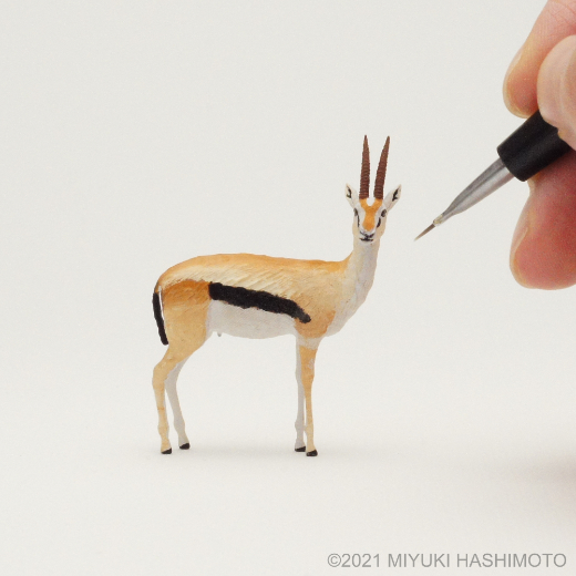 Image Male Thomson's Gazelle Miniature