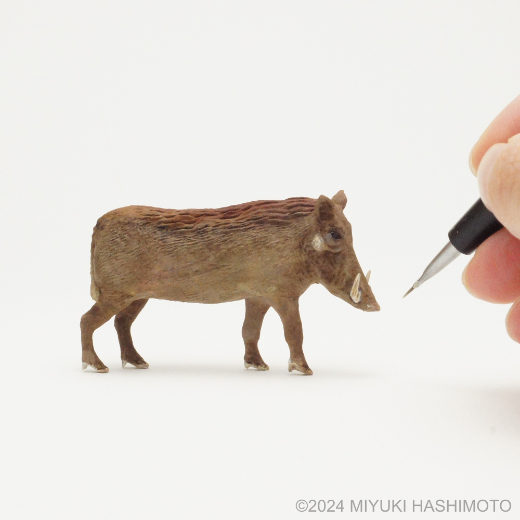 Image Male Warthog Gazelle Miniature