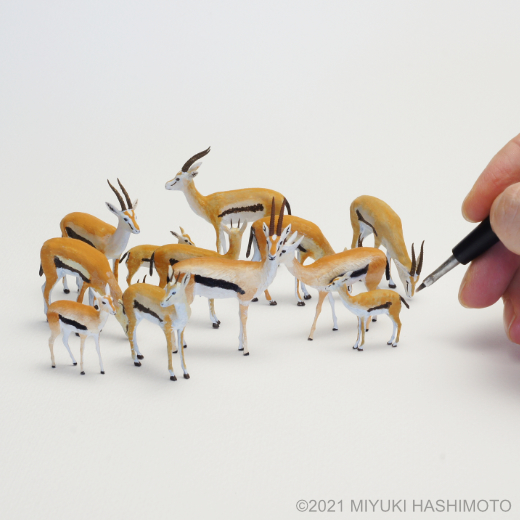 thomson's gazelle miniatures