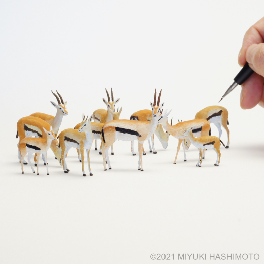 thomson's gazelle miniatures