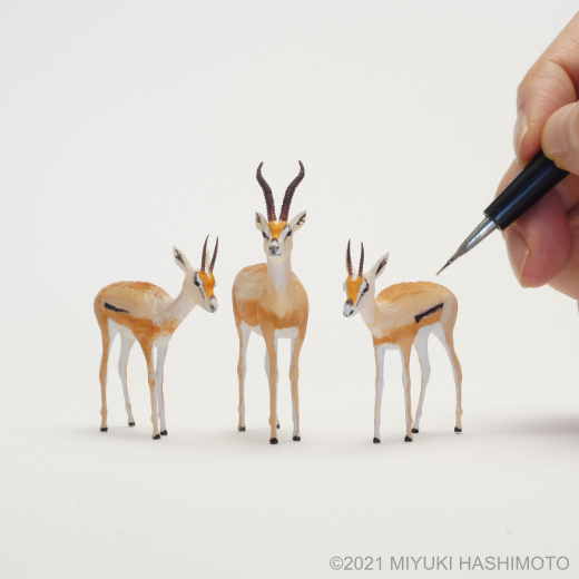 grant's gazelle miniatures