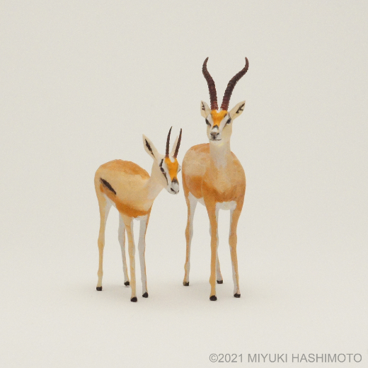 grant's gazelle miniatures