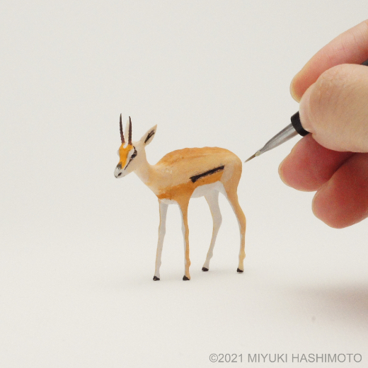 grant's gazelle miniature female