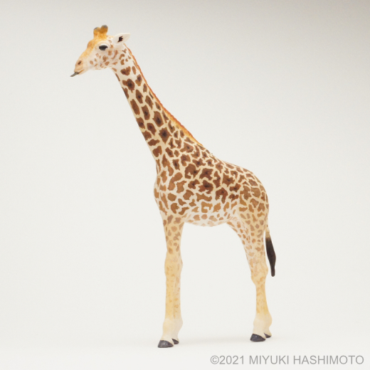 masai giraffe miniature