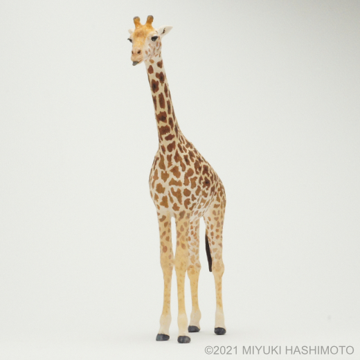 masai giraffe miniature