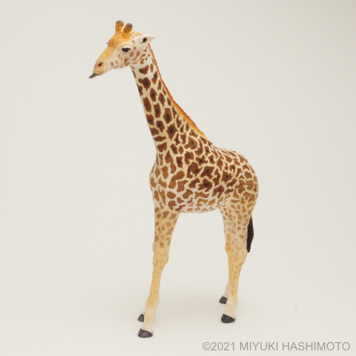 masai giraffe miniature